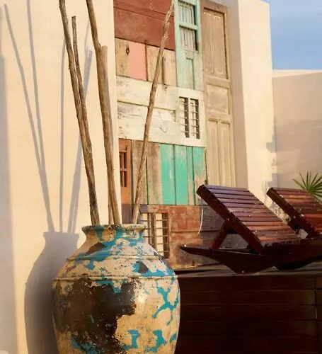 Stylish & Luxury Penthouse & Apartment, Private Pool, Private Hot Tub, Terrace And Roof At Jungle Tulum