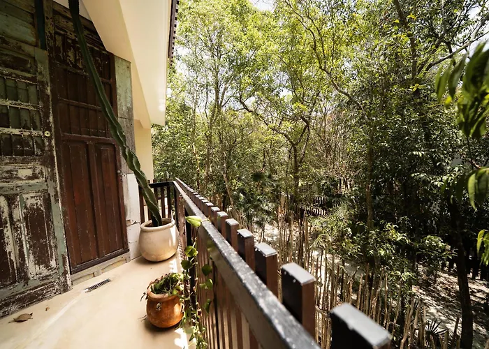Stylish & Luxury Penthouse & Apartment, Private Pool, Private Hot Tub, Terrace And Roof At Jungle *